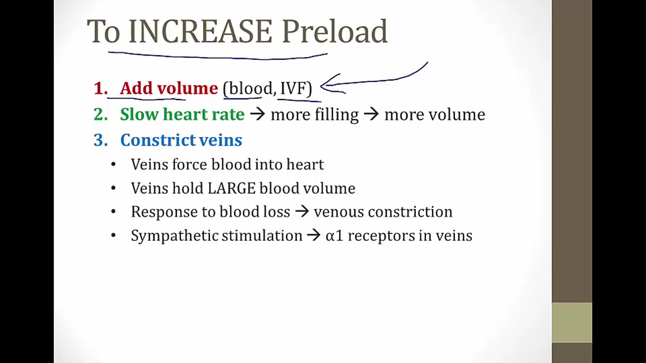 cardiac physiology