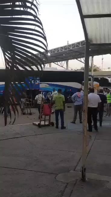 Video: conductor y pasajero se van a los golpes en Terminal de Transporte