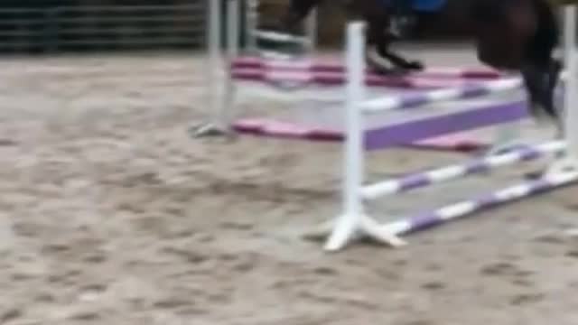 ❤️_ Marina und die Ponys Fan