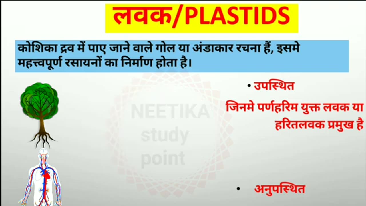 Differences Between plant Cell And Animal Cellपादप और जन्तु कोशिका में अंतर। Ilhindi