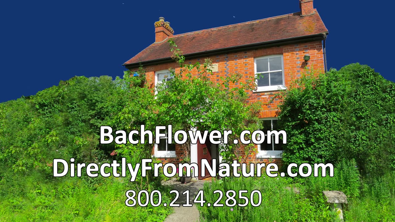 ASPEN - Bach Flower Remedies