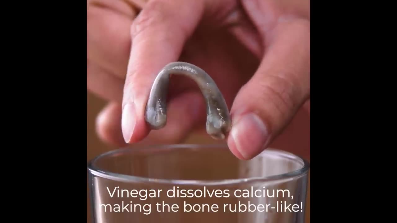 12 Cool Science Tricks That Will Make Your Friends Go "Omg! How?"