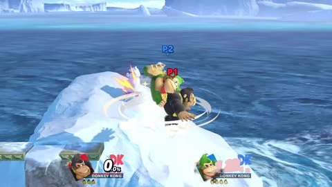 Donkey Kong vs Donkey Kong on Summit (Super Smash Bros Ultimate)