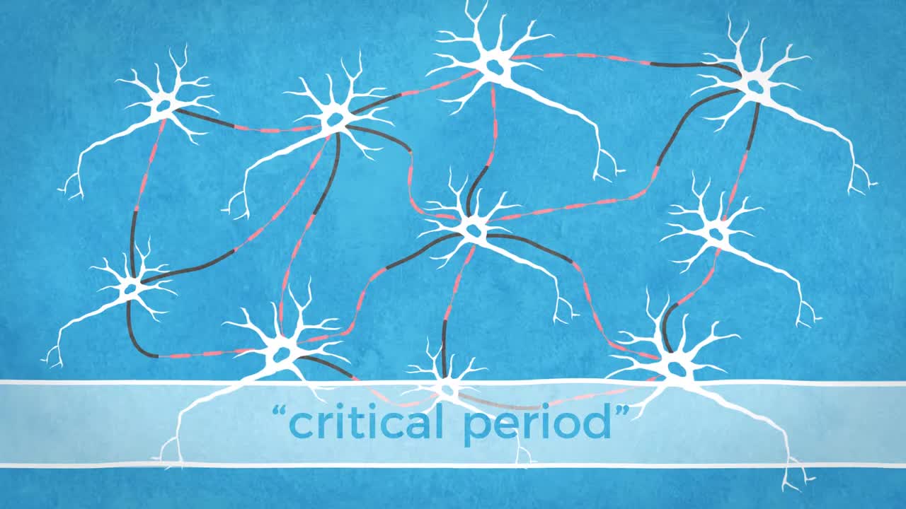 How The Brain Changes With Chronic Pain