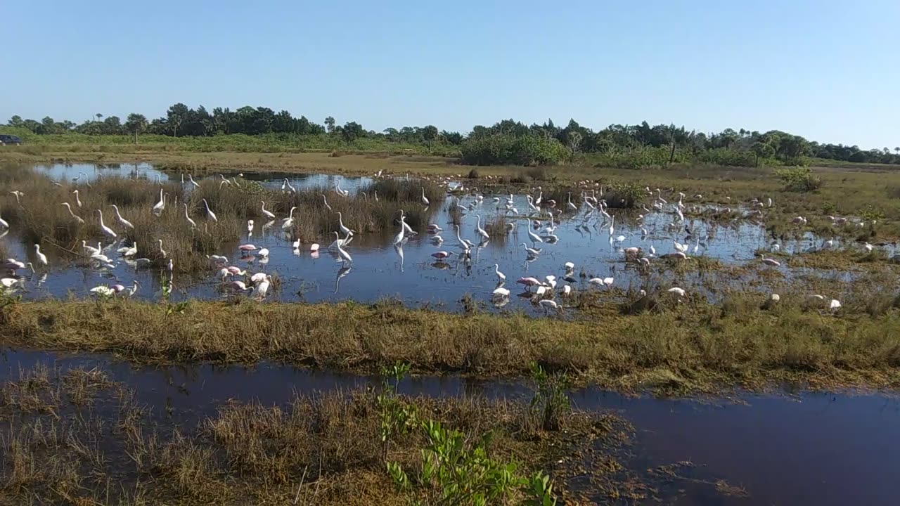 MI Wildlife Sanctuary