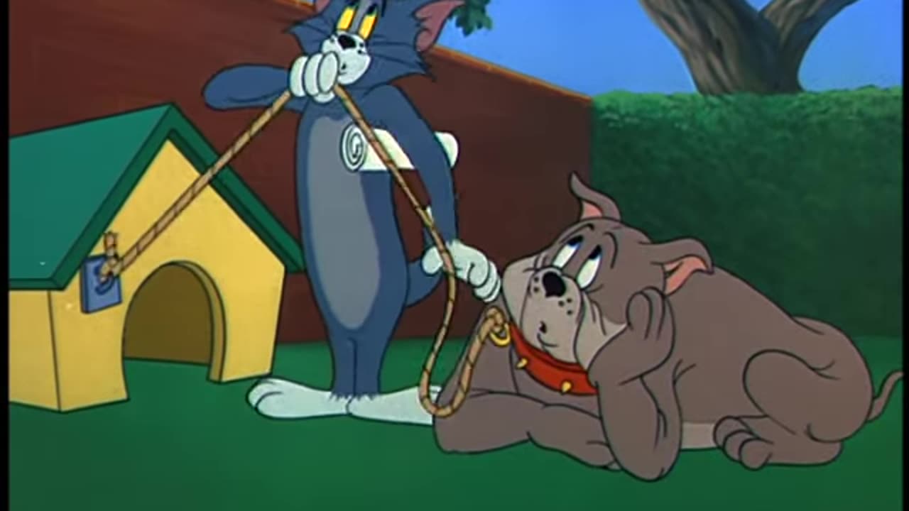 😺😺😺😺😺😺😺😂😂😂😂😂