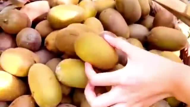 Amazing Kiwi Fruit