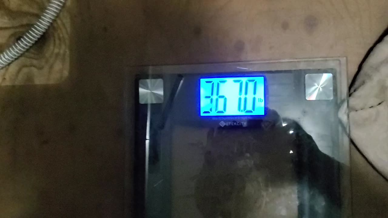 Weigh-In Feb 3, 2024