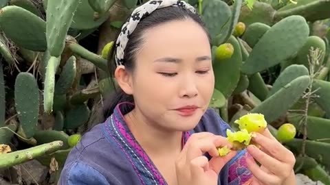 Wild fruit cactus