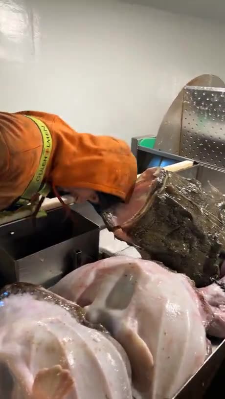 Exactly as one would have expected.