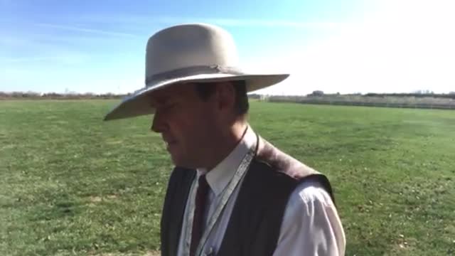 Microsoft’s Dumbing Down of the World, on Purpose