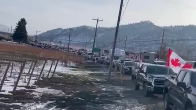 Trucker Convoy between Washington State US and British Columbia