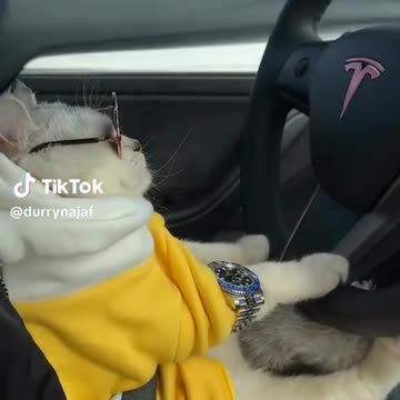 Eid Special in Hindi urdu