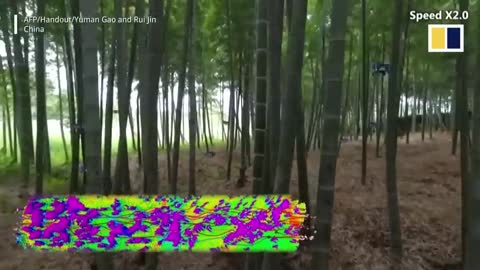 Watch: Autonomous Chinese Drone Swarm Flies Through Forest While Hunting For Humans