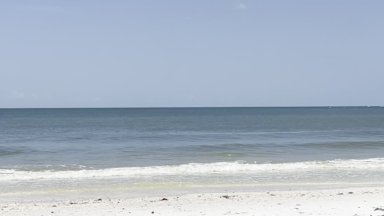 South Lido Key Beach