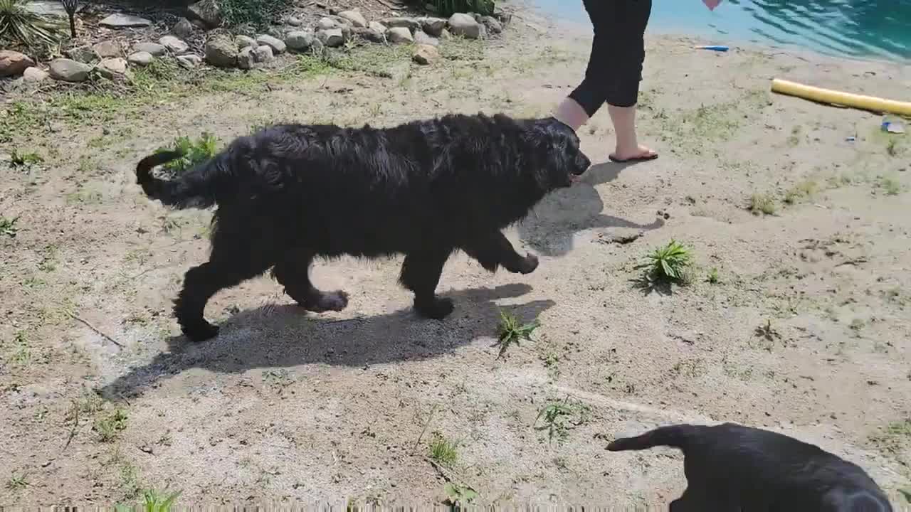 Mia's Kids Go To The Pond