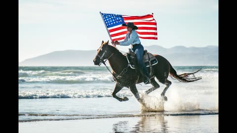 Land of The Free by Malele