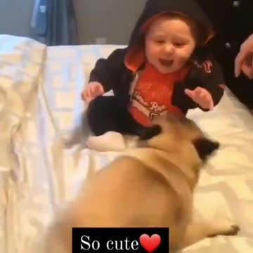 So cute dog kid baby paying