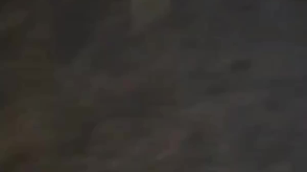 Street View of the Beirut Explosion