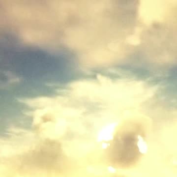 Guided Meditation for Connecting with Your Spirit Animal 🐾 #meditation #spiritanimal #shorts