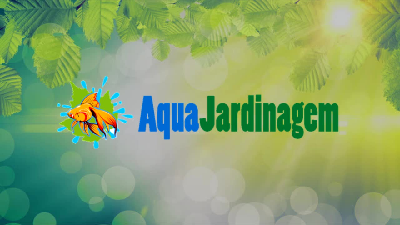 Aquajardinagem