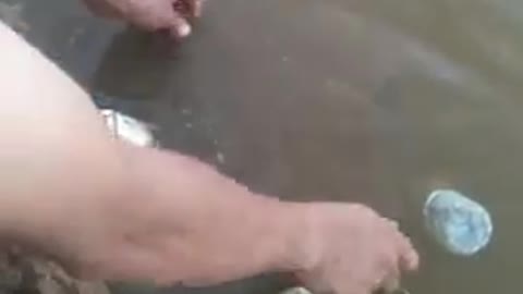 A lucky fish