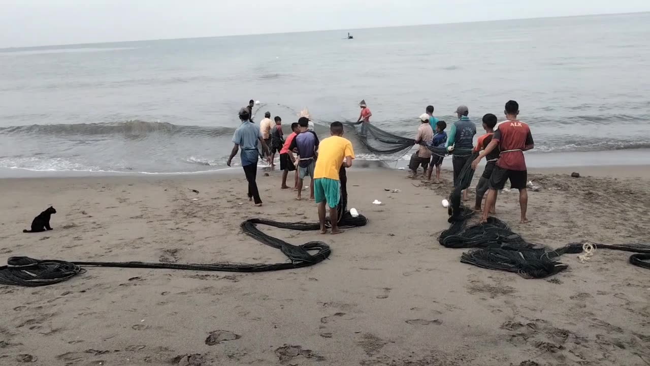 Catching Fish 2 (Tarek Pukat) in Aceh