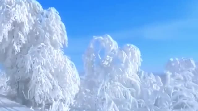 Good.mp4