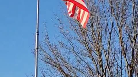 HOA Buster Flagpole Antenna