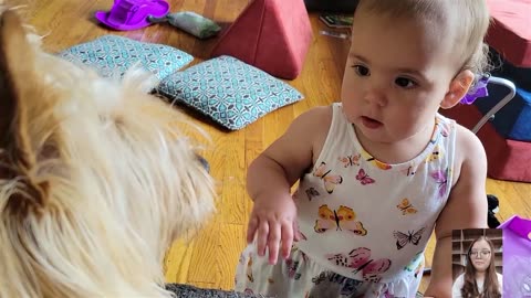 Cute Baby playing with Dogs #2023 New