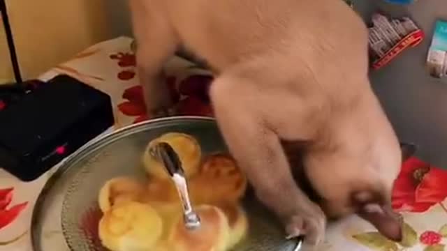 How do I get this lid off