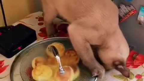 How do I get this lid off