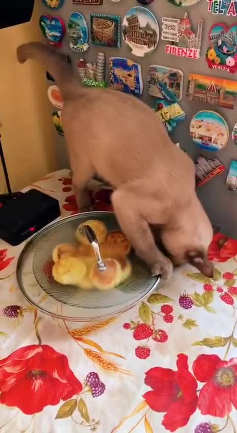 How do I get this lid off