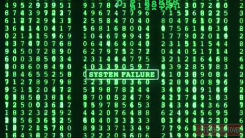 The Elon Musk Matrix