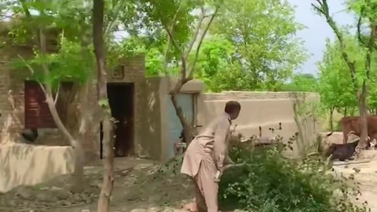 Pakistan Punjab video beautiful envirment