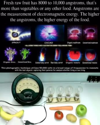 Does the food you eat contain energy