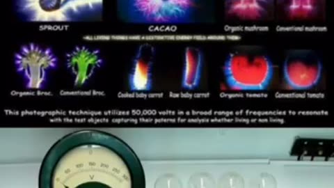 Does the food you eat contain energy