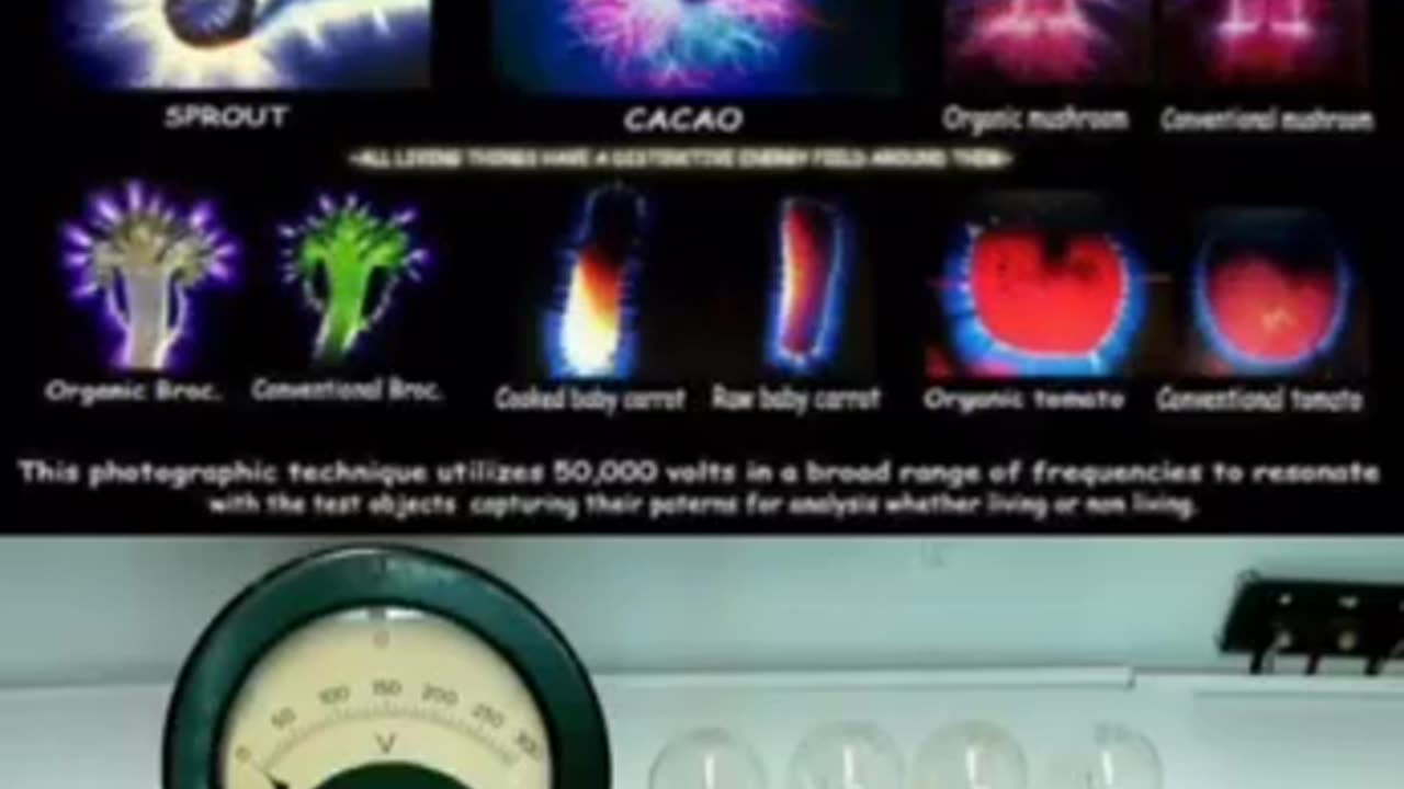 Does the food you eat contain energy