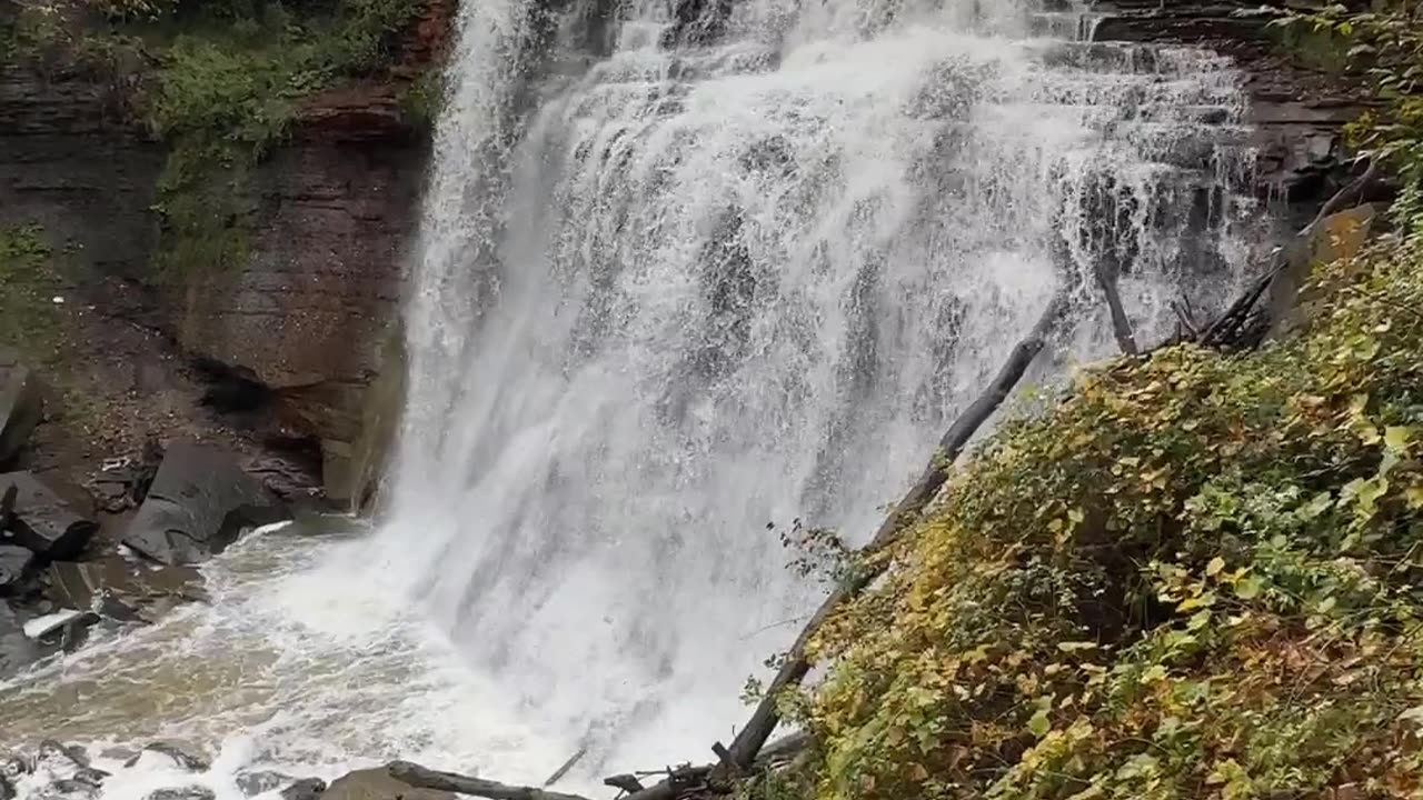 Unforgettable Beauty of the Forest Waterfalls | Splendid Nature | Harmonious Scenery