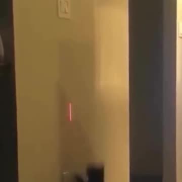 Cat vs. Laser Comedy Show! 😸🌈"