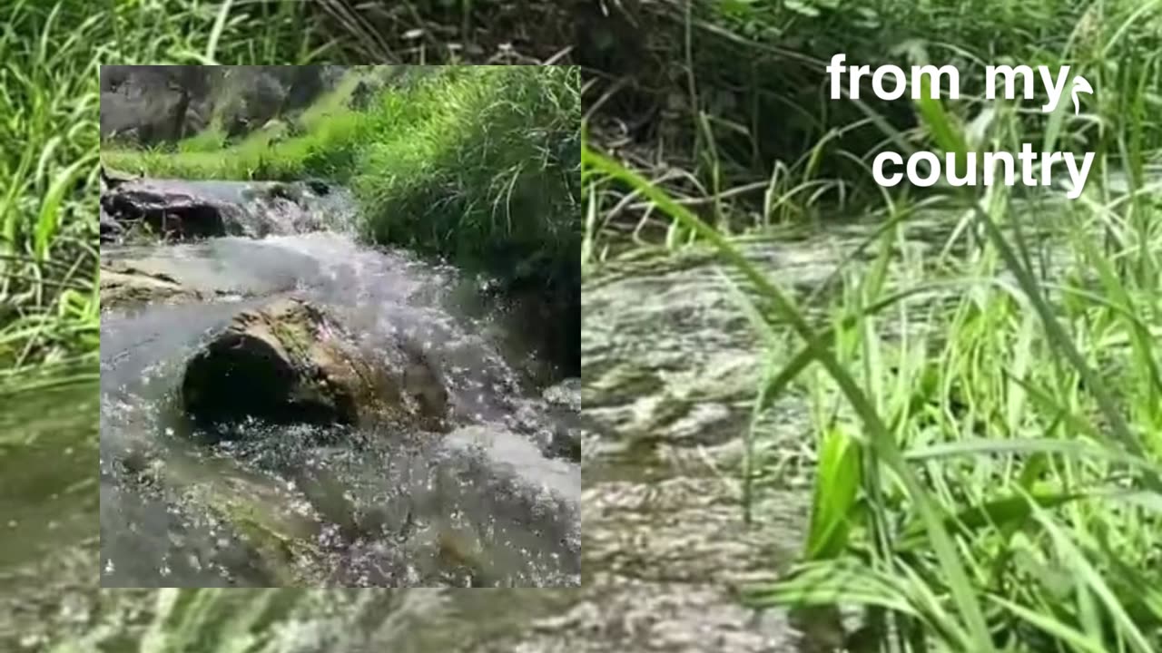from my country