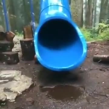 How the 4th child is born