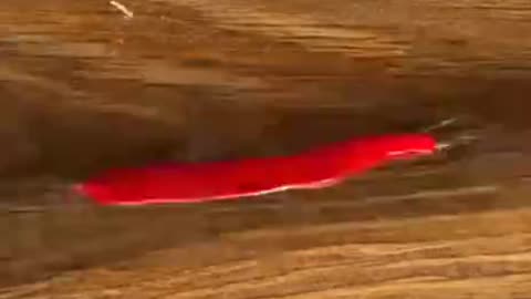 How to be there by the house 😀😉 to come in and get a free