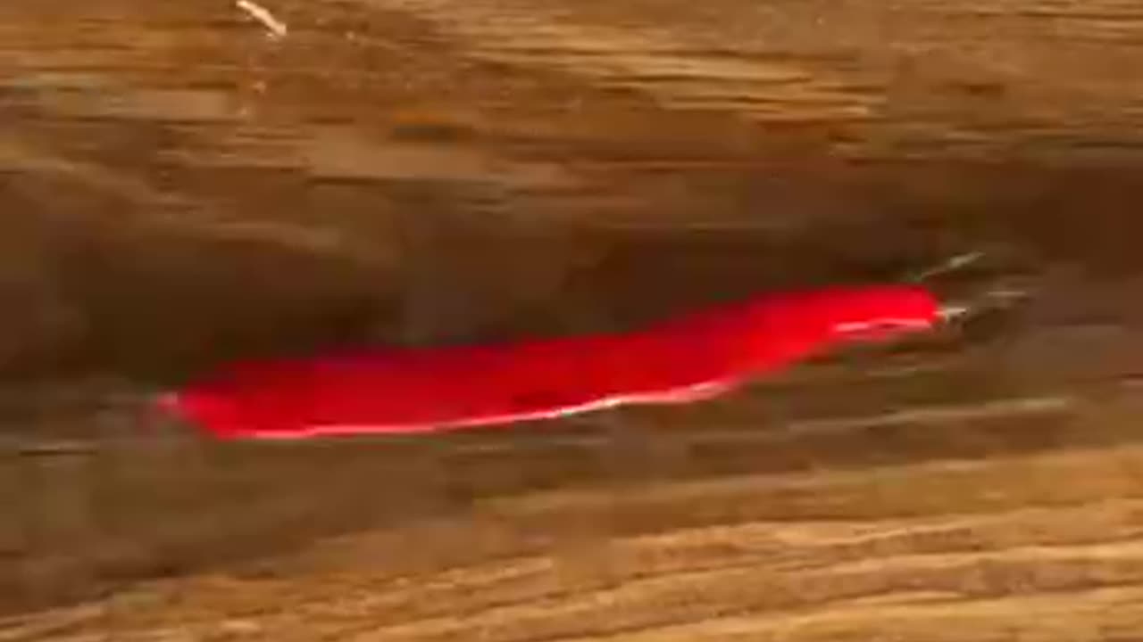 How to be there by the house 😀😉 to come in and get a free