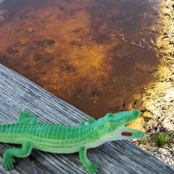 Worthy art Thou Oh Lord to receive glory and honor and power...2/2/24