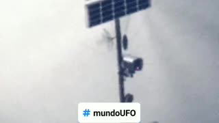 Real ou Fake? 🤔😱