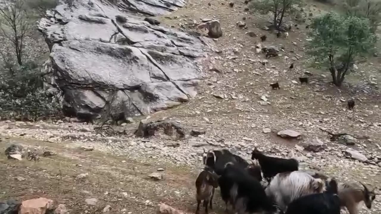 Village life