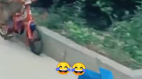 Funny monkey driving bicycle