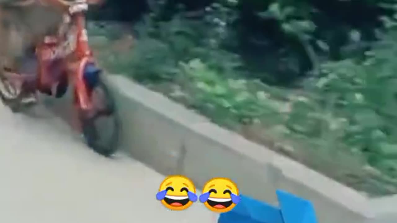 Funny monkey driving bicycle