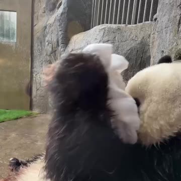 Morning cleaning up getting ready for work